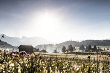 Lade das Bild in den Galerie-Viewer, Frühling in den Bergen
